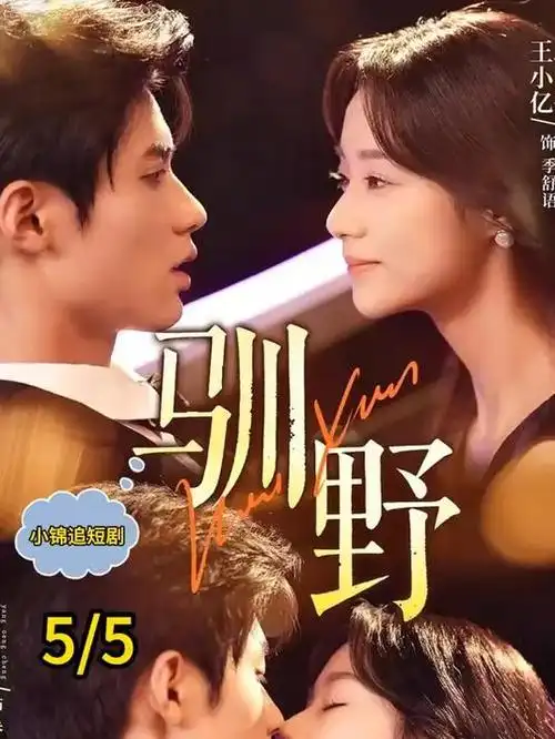 好看电视剧深蓝回声海报